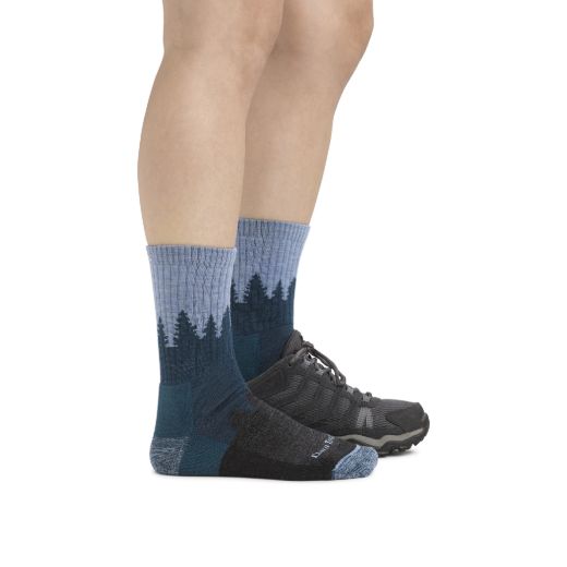 Bilde av Darn Tough Treeline Micro Crew Cushion Blå